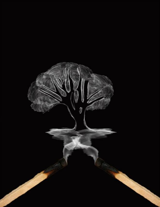 10151350_651237534947245_5599990102501470409_n